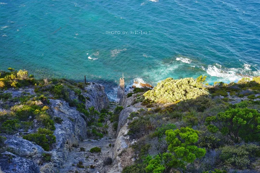 赴澳旅游注意,若带蜂蜜制品上岛,将被判两年监禁或8000澳元罚款