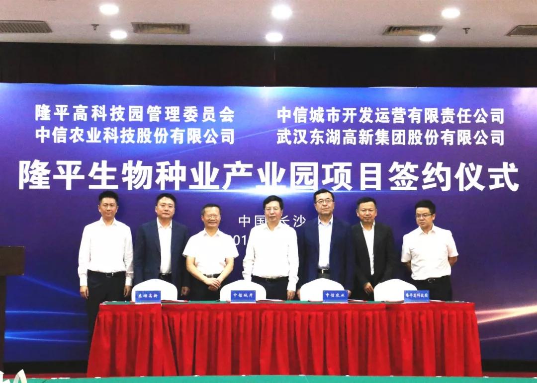 长沙东湖高新国际创新城,东湖高新武汉创智基地