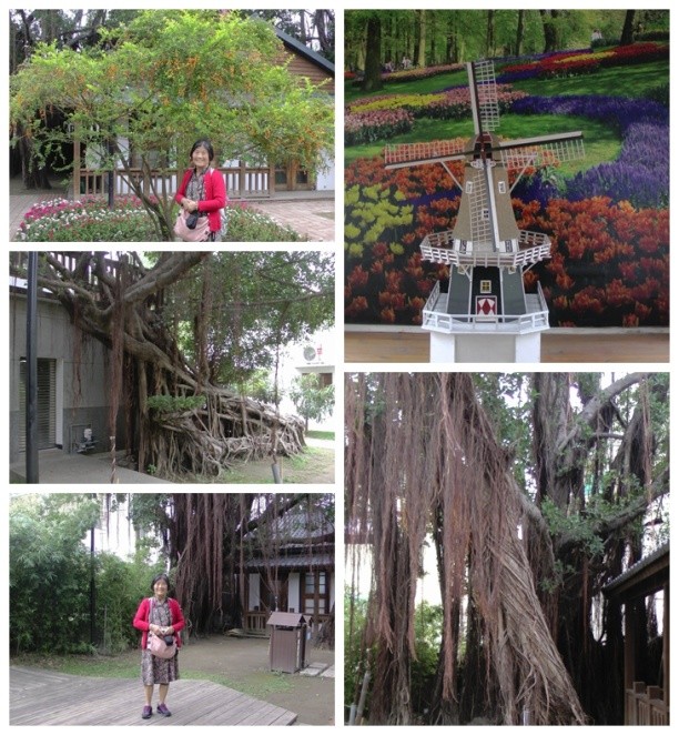 2018年十一月台湾环岛八日游攻略,台湾15天环岛游自由行