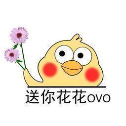 桃花杏花梨花海棠,桃花海棠梨花樱花的区别