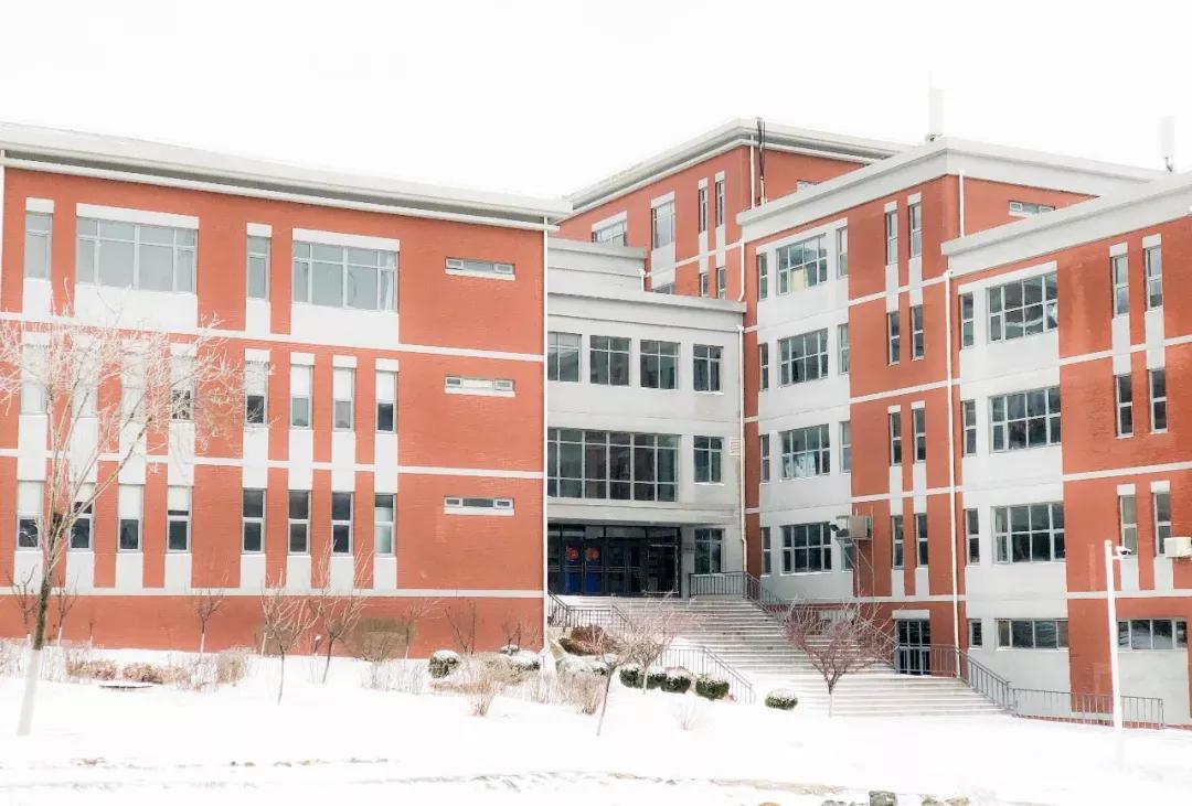 民办学校大连艺术学院全国排名,大连艺术学院辽宁排名