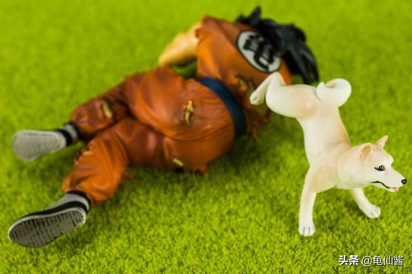 柯南里的所有的角色,龙珠与柯南