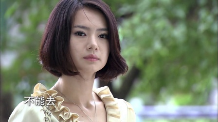 夏家三千金大结局夏友善真名,夏家三千金第一集的夏友善