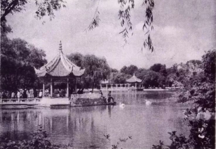 你知道吗？最早的西郊公园，竟然是个“马厩”~