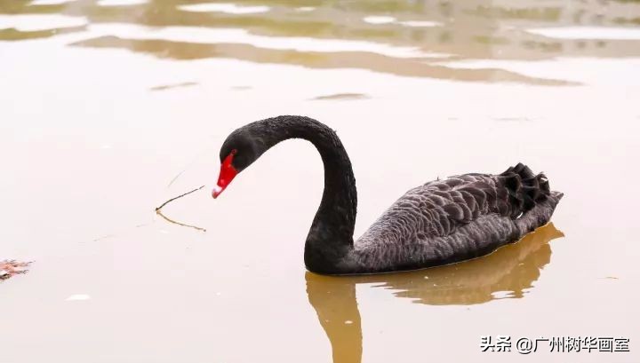 考上湖大是什么水平,考上湖美一年花多少