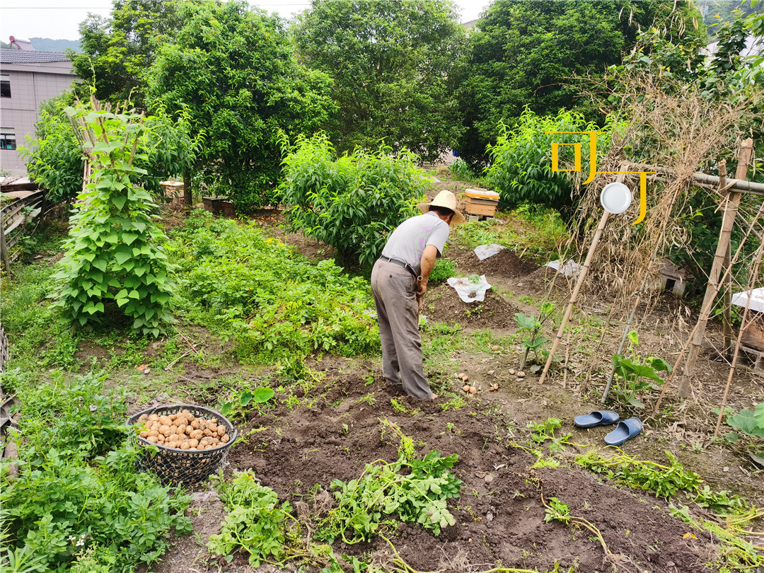 东钱湖湖畔人家农家乐,东钱湖下午茶和农家菜