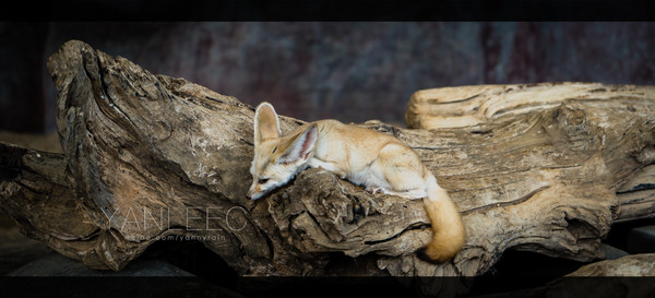 深度玩转泰国攻略,泰国游国际漫游