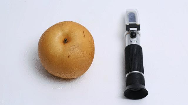 哪种梨最好吃又实惠,最好吃的十款梨