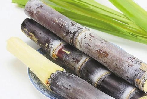 甘蔗变红了能煮菜吗,甘蔗变红的原因