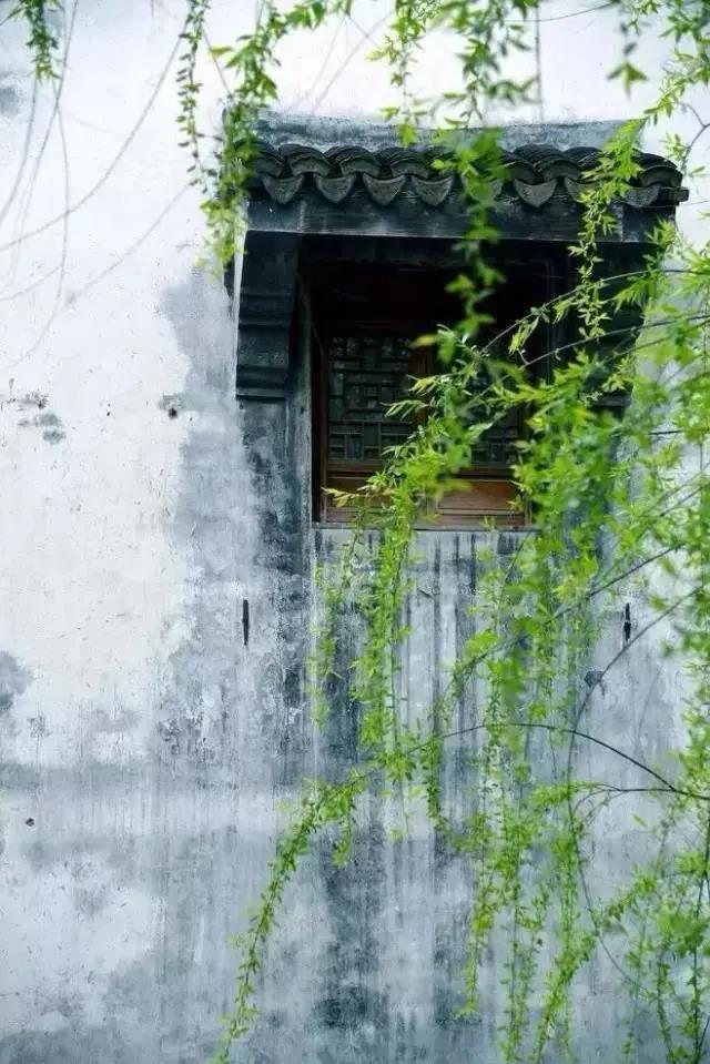 赞美春天柳树的优美句子,形容春天柳树的唯美句子