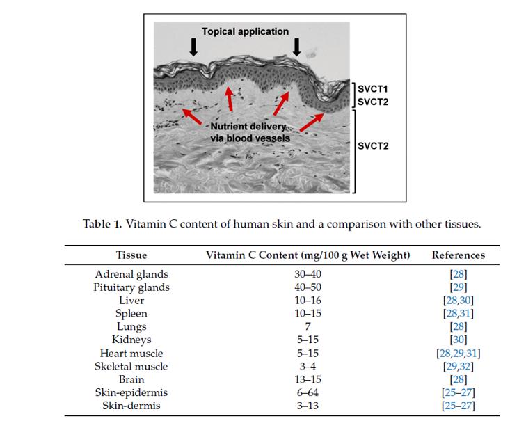 长期吃维生素c能美白吗,长期服用维生素C会提高免疫力吗