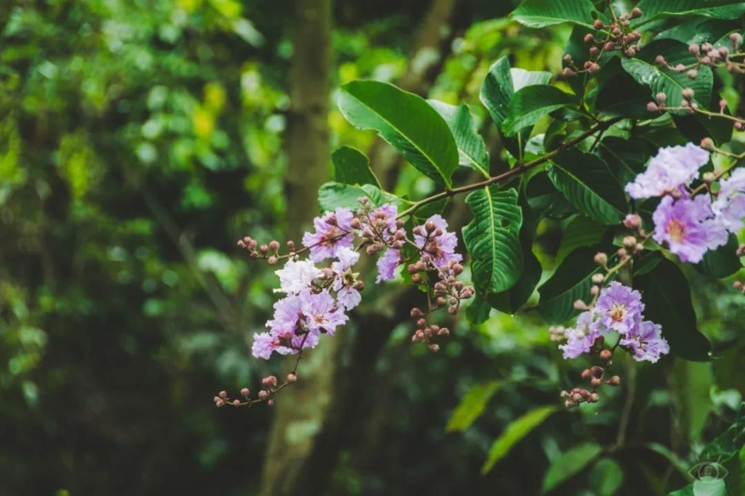 深圳值得去的地标,深圳值得去的景点排行榜