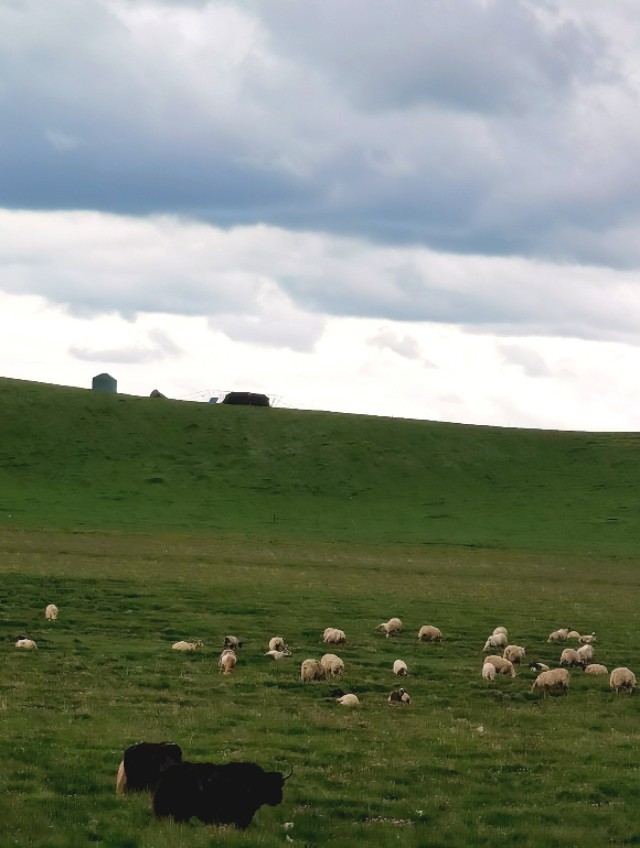 一条绝美草原之路,一条绝美的自驾公路