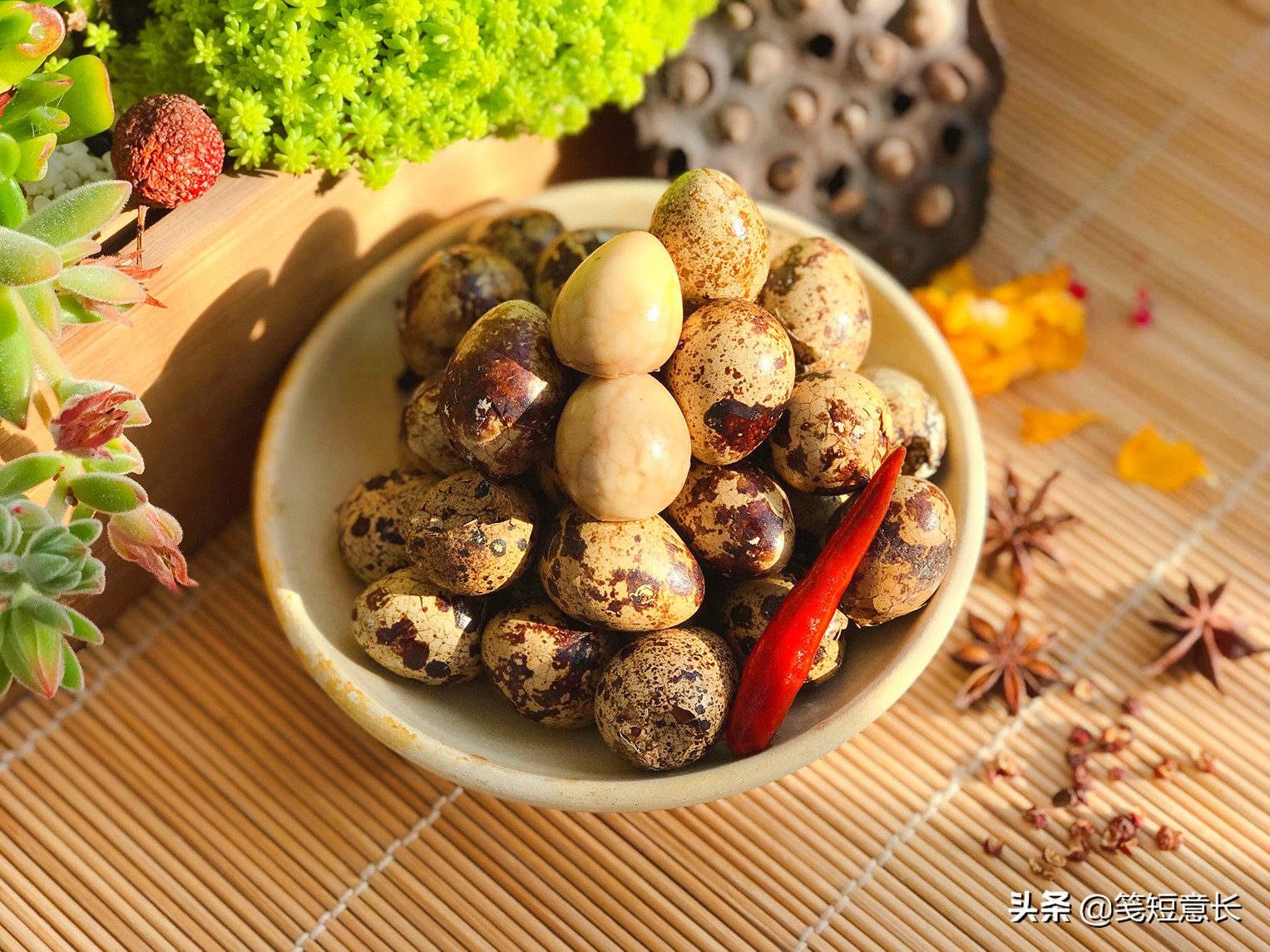 孩子不吃鸡蛋能用鹌鹑蛋代替么,小孩不爱吃鸡蛋可以吃鹌鹑蛋吗