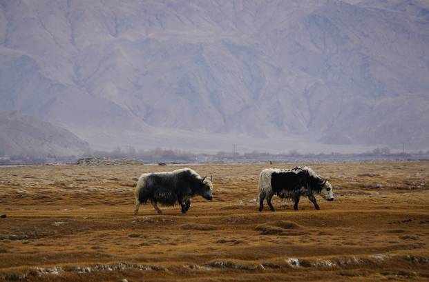 巴铁首条中国公路,震撼全球的中国公路