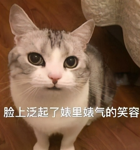 稳居c位的文案,稳居c位的沙雕文案