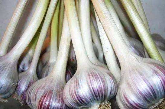 大家好，我叫上高，这是我的简历，以后多多关照