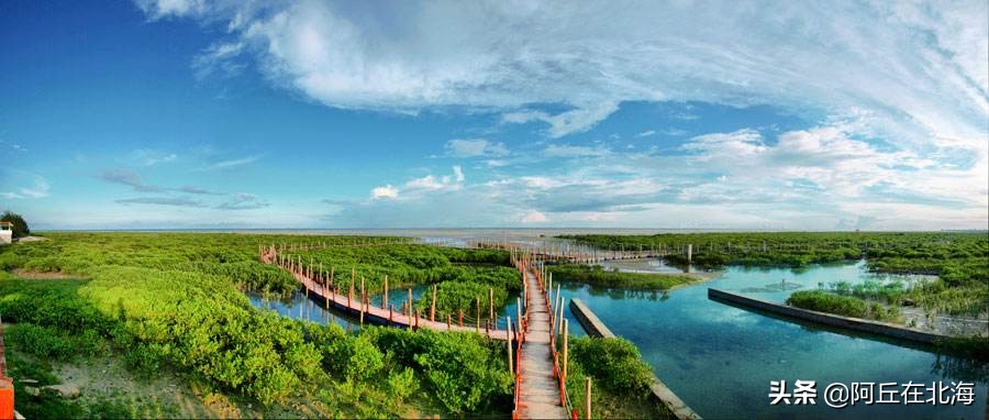 美了环境又可免费换北海热点门票，这等好事还不赶紧行动