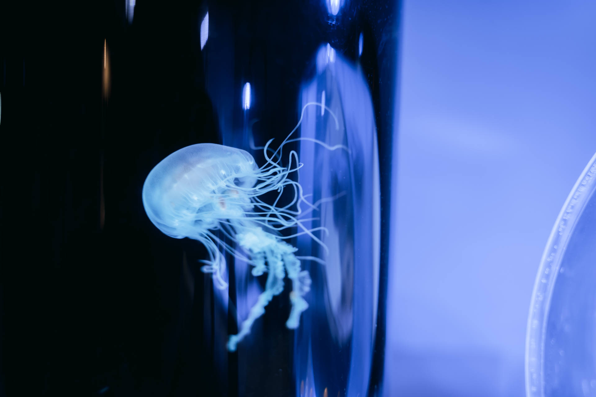 有了它再也不用去给打印店做贡献了,一部老年机的钱,全家都能用