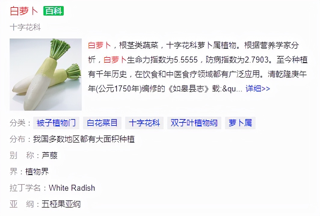 千年小人参变成白萝卜,秋冬腌白萝卜