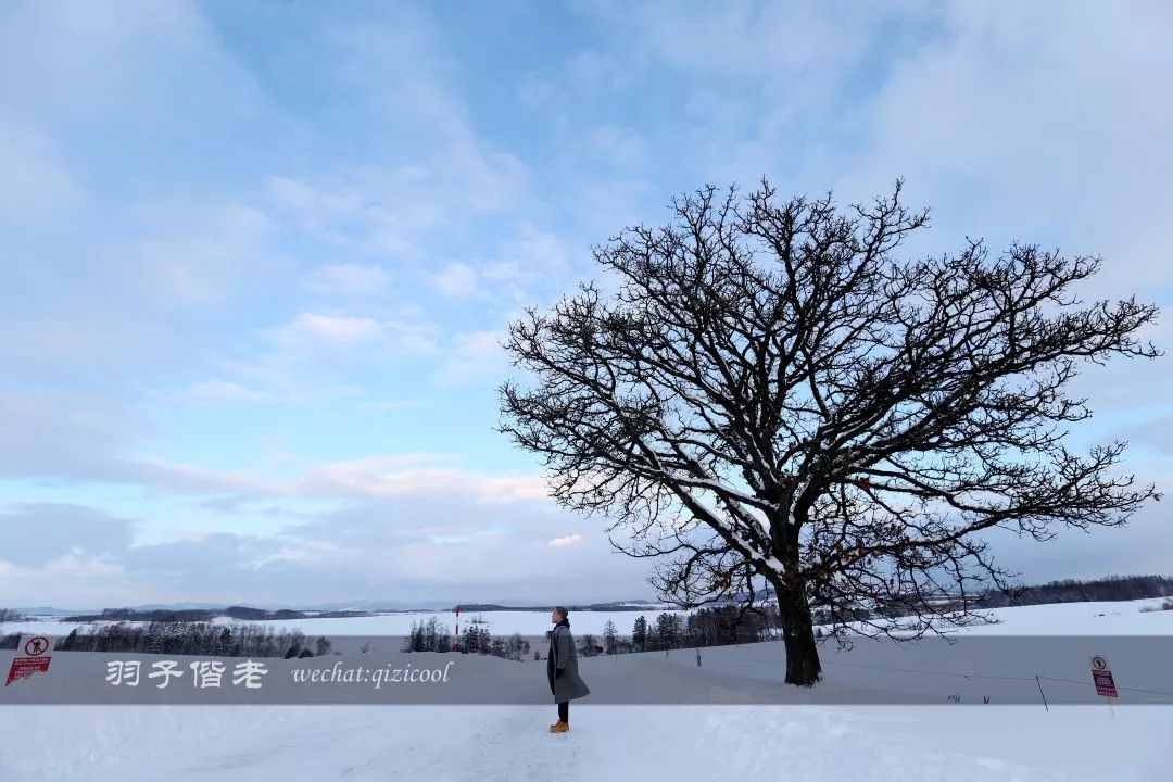 日本10天自由行费用北海道,东京北海道5日自由行攻略