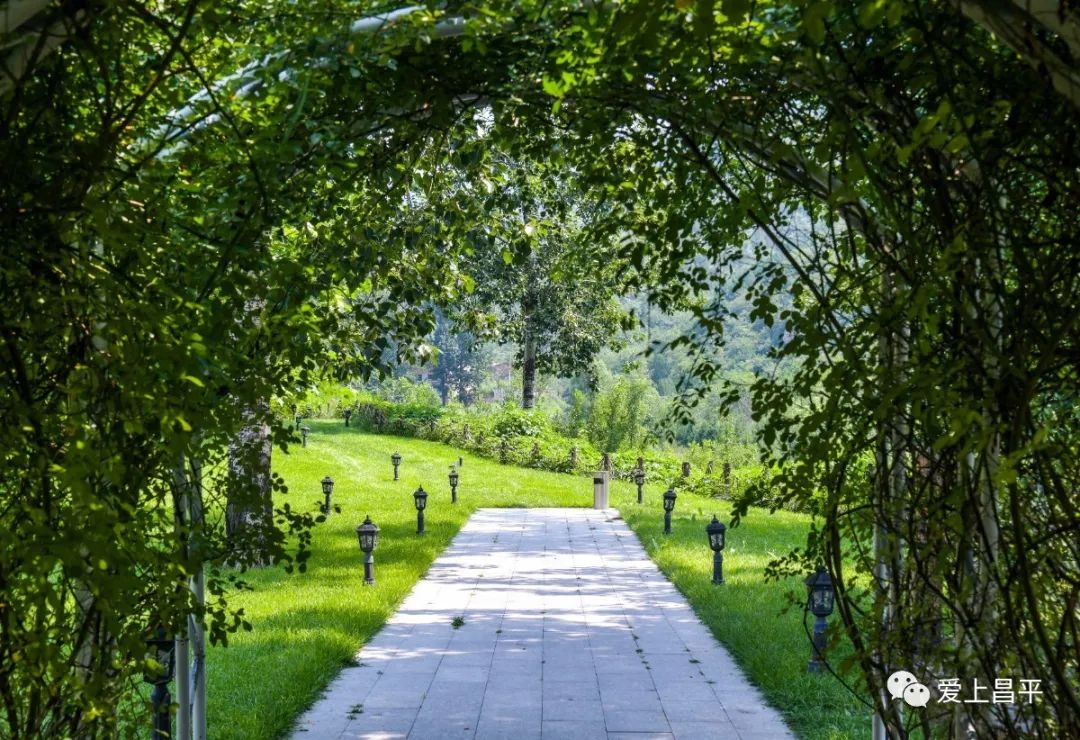 夏日京郊高端民宿,清爽到极致的民宿