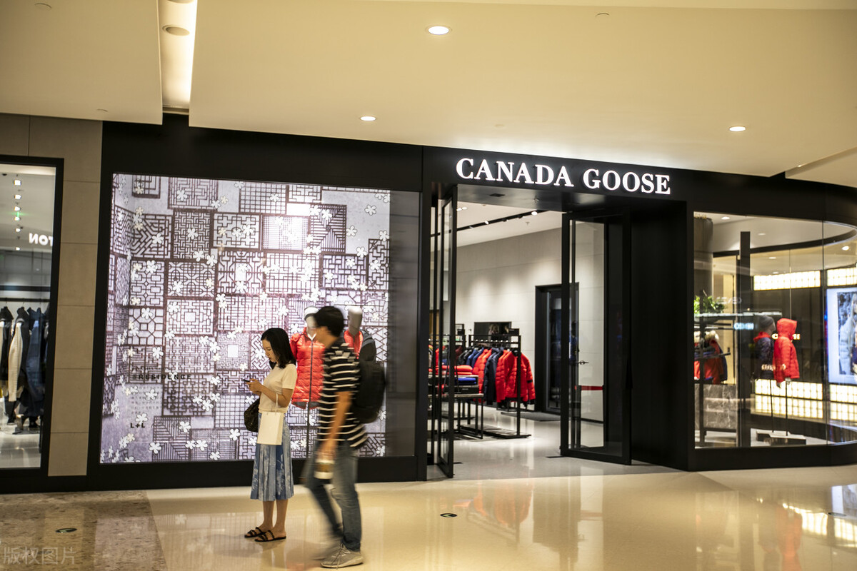 加拿大鹅事件是怎么回事,加拿大鹅事件来龙去脉