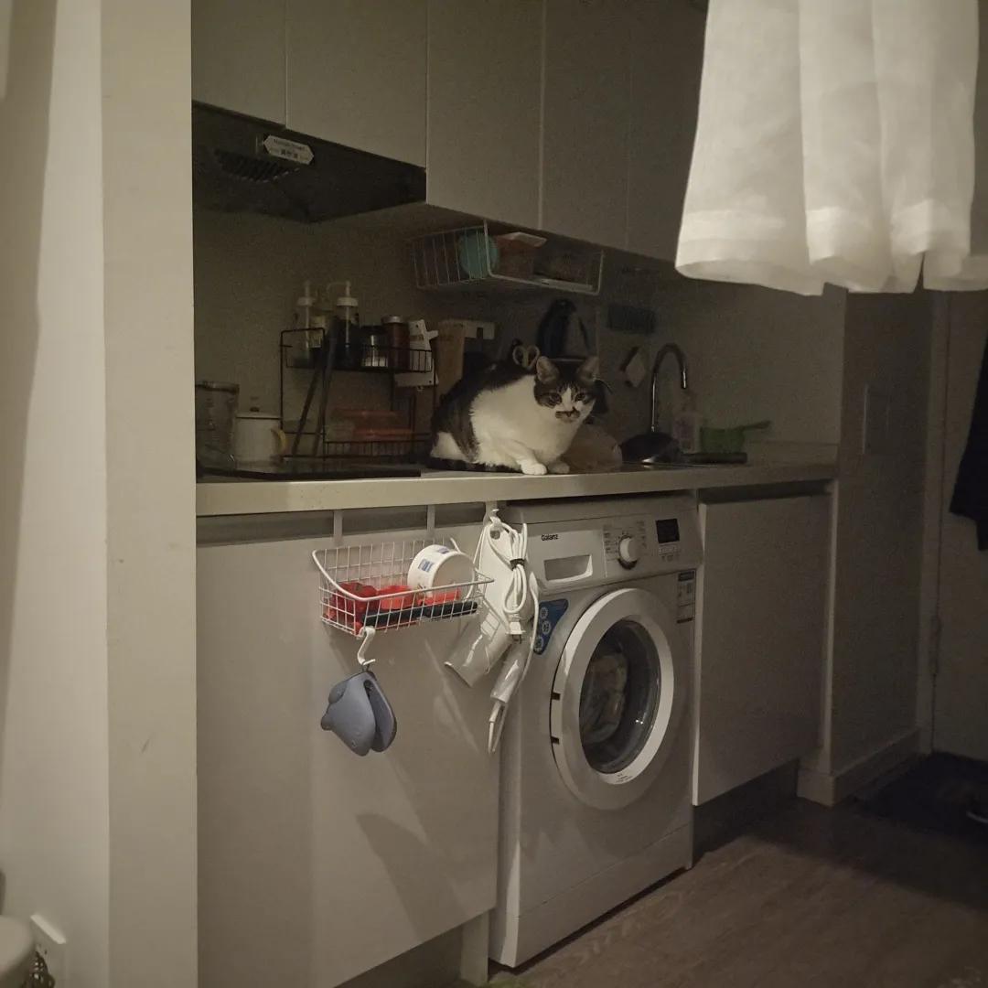 瞧不上北京的不只有上海，还有望京