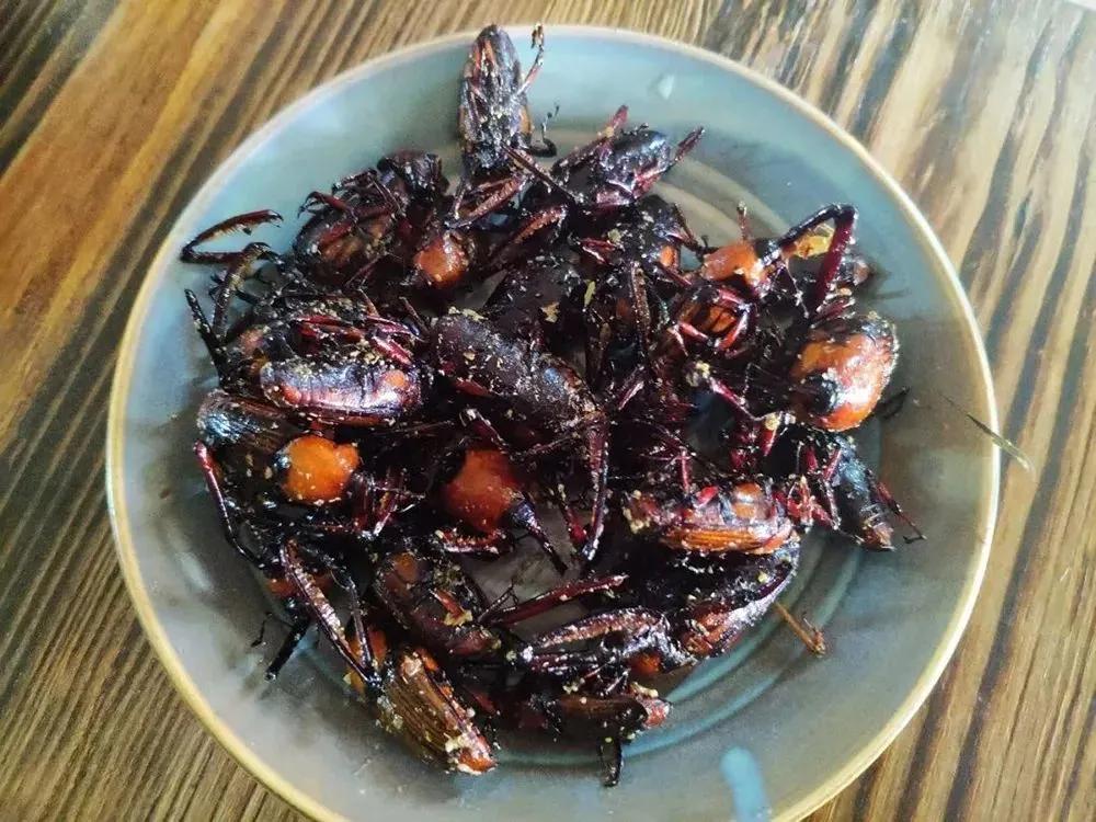 竹象食用价值,竹象好吃吗