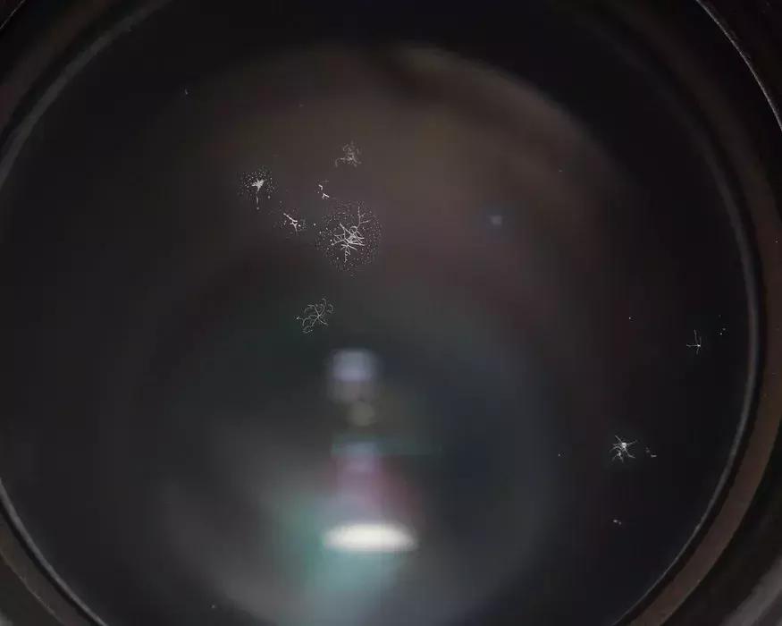 镜头镀膜坏了什么样,怎么看镜头镀膜有没损伤