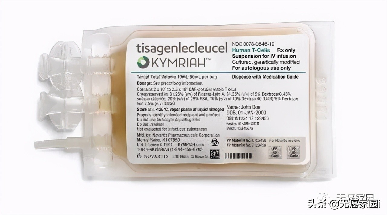 中国cart细胞疗法上市,car-t新药进展