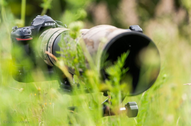 尼康500mmf4e使用体会,尼康500mmf4和600mmf4