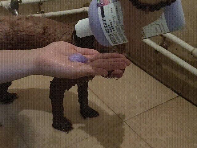 草莓洗澡用的沐浴露,女生草莓味沐浴露