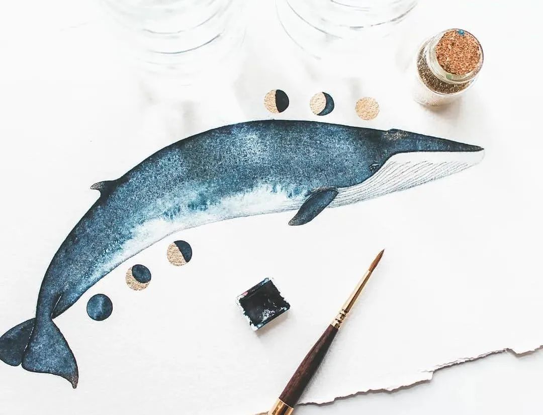 一头蓝鲸等于50只大象，被插画师画成小可爱，治愈了我们的内心