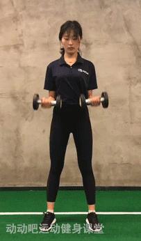 一副哑铃，让你在家也能刺激全身肌肉