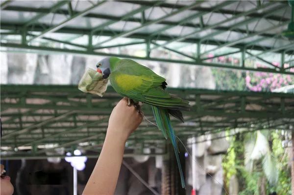 文末有福利｜带着Ta，来到这家坐拥7km的海岸线酒店