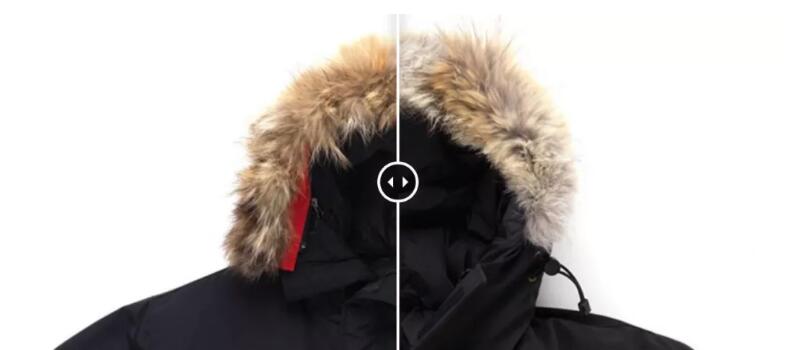 都说鹅绒贵为什么售价比鸭绒便宜,加拿大鹅和蒙克羽绒服哪件比较好