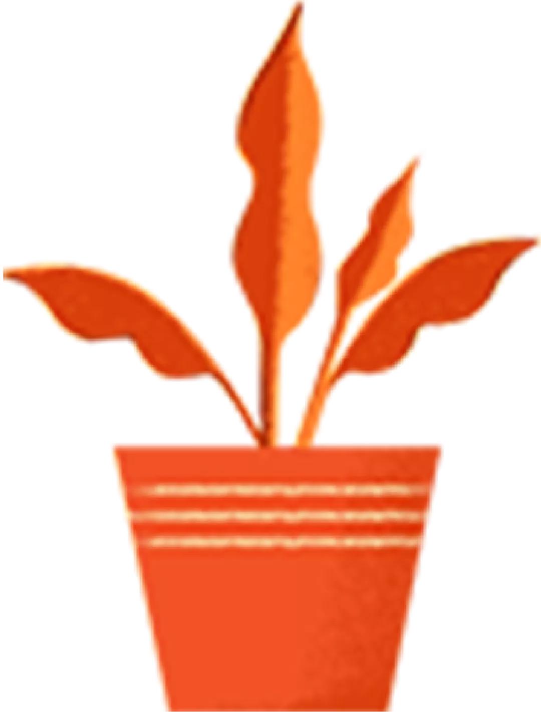 教师如何培养小学生的阅读能力,小学教师靠阅读成功