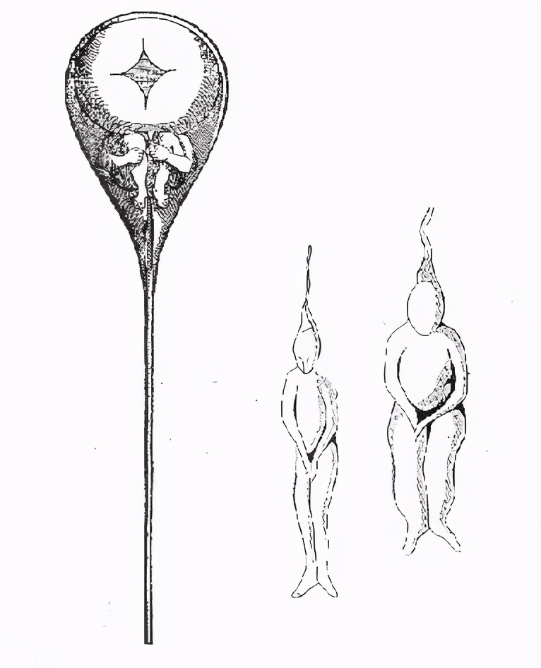 科学家发现精子运动规律,科学家发现精子的神奇作用