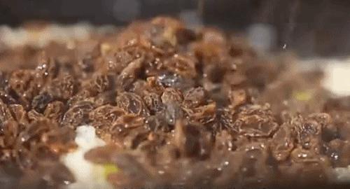 *疆新**,一定要不顾一切去一次的地方