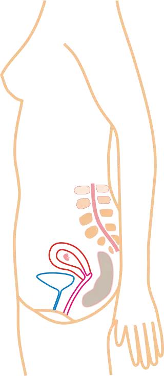 如果你怀孕了你的男朋友会怎么做,如果你男朋友怀孕了怎么办