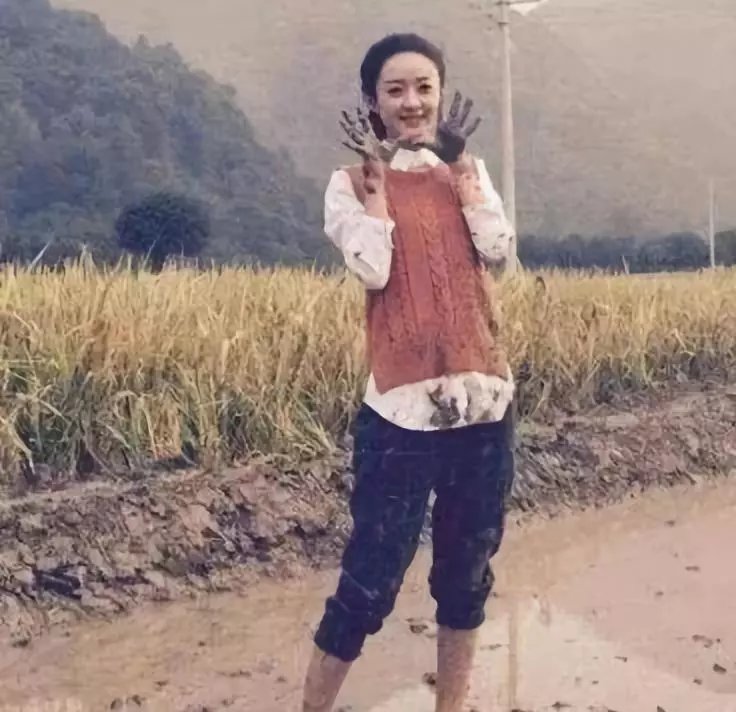 赵小刀江湖沉浮图片,赵小刀的视频