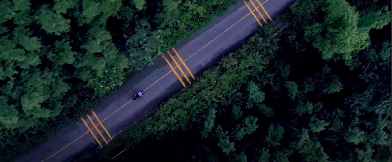 腾讯最新纪录片，记录人与毒宠的相爱相杀，堪称开年第一！