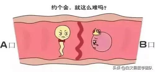 治疗输卵管近端不孕,输卵管性不孕的最佳治疗方法