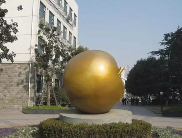 上海回不去的青春,上海市建平中学老照片