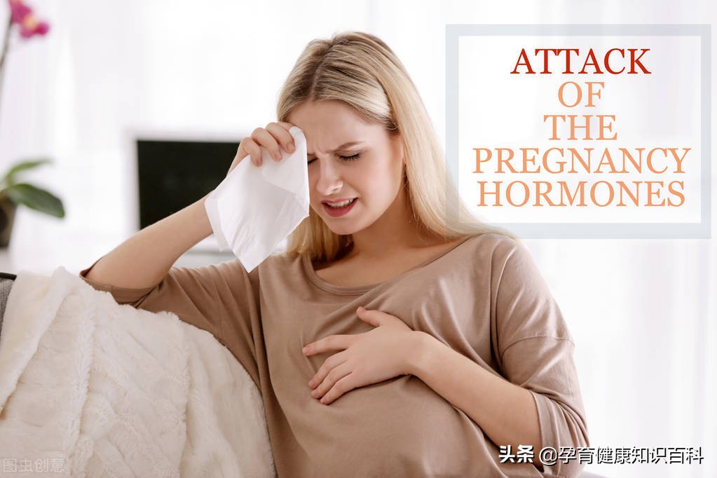 卵泡不排是不是就不能怀孕,卵泡也正常怎么就怀不上孕呢