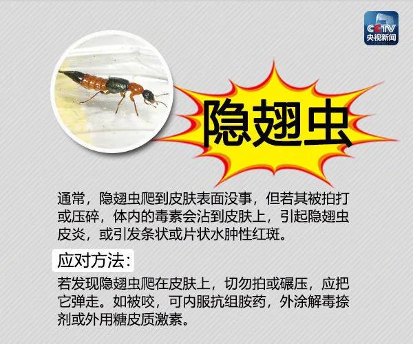 常年在垃圾桶旁边的蛇,垃圾桶里面有一条大蟒蛇