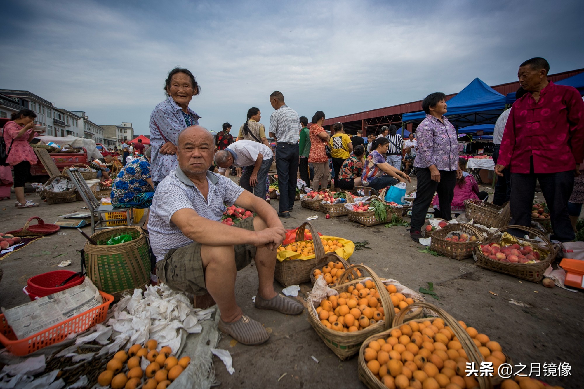 天府新区太平枇杷,成都太平枇杷批发市场