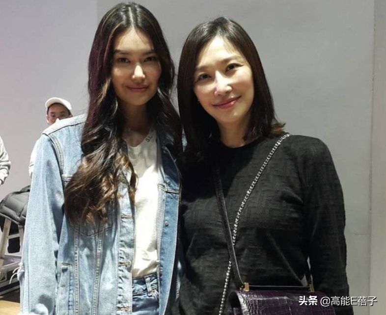 璞棬鍐嶈捣椋庝簯,棣欐腐璞棬涓変唬鍚嶅獩