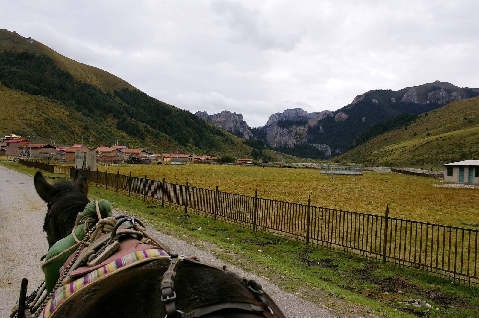 甘南则岔石林有什么好玩的地方,甘南碌曲则岔石林